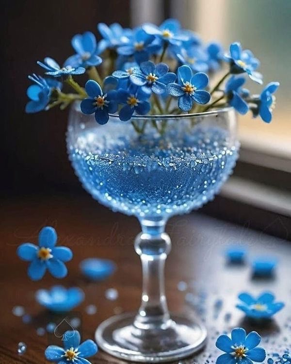 Lenka49044040's tweet photo. Good morning 💙 Happy weekend https://t.co/rKcWy7wxej
