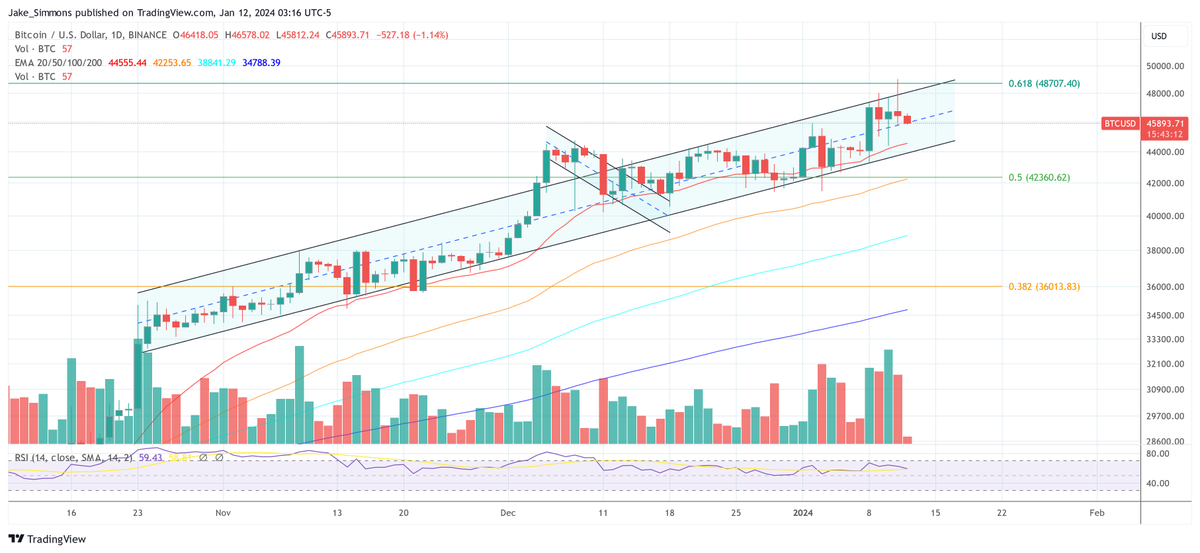 Lauren Johnson tweet media