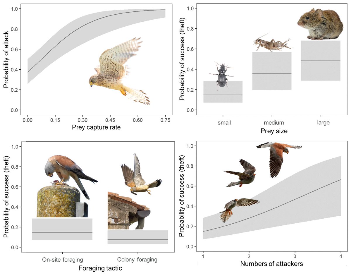Alessandro Berlusconi tweet media
