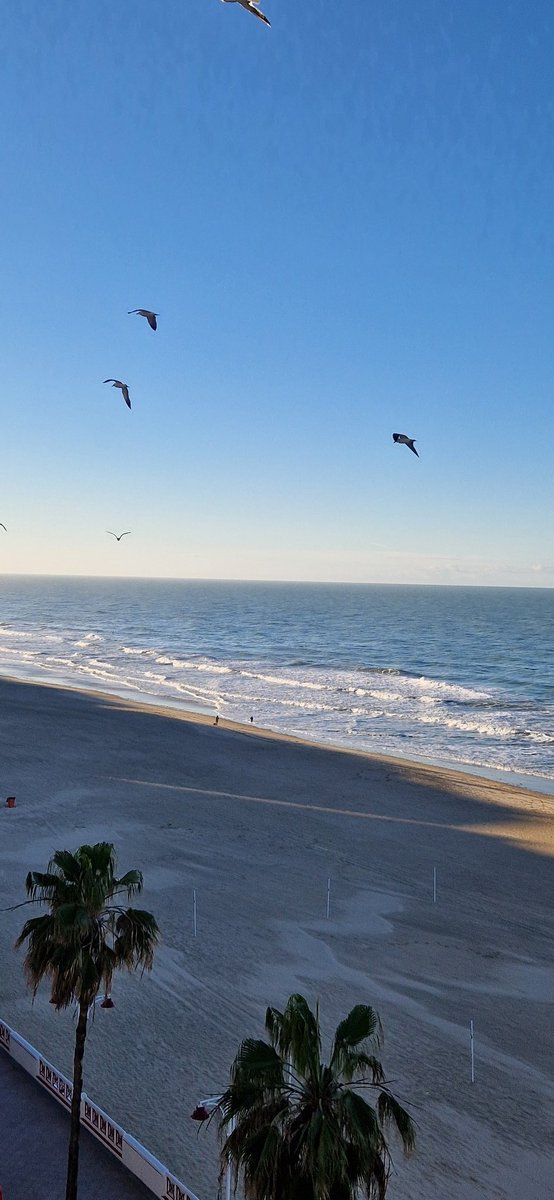 sdzafra's tweet photo. Sábado inesperado #PlayaVictoria #Cadiz https://t.co/H9A8SQ7PS9