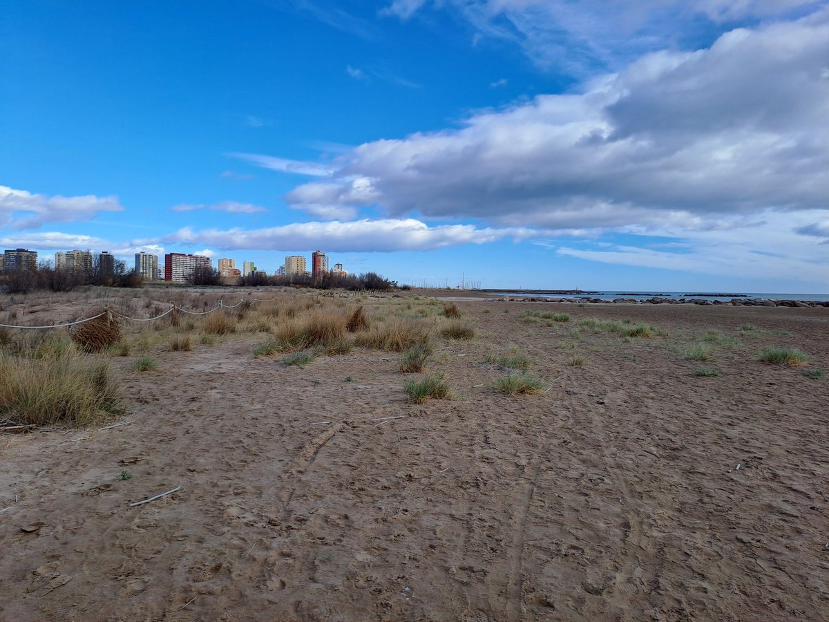 El Marjal de Rafalell y Vistabella, un pequeño humedal superviviente a la degradación de la costa de Valencia. Una gran variedad de aves y de hábitats acuáticos, salinos y dunares que avanzan mejorando su valor ambiental.
Una pequeña joya que merece todo esfuerzo en conservación