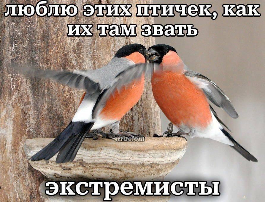 Ea The Human | Quadruple A 🏳️‍🌈 tweet media