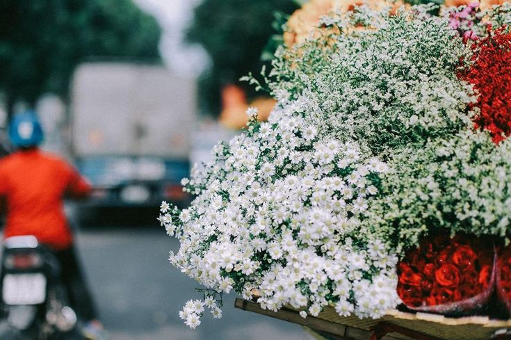 BMONEYFIRSTNAME's tweet image. Hạnh phúc nhất đó là được thưởng thức một ly cà phê vào một ngày thu.
Ôi mùa thu! Thật vui vì được gặp lại.