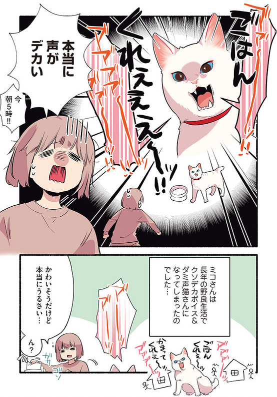 ðå
éè¯ç«ã«ãŠã§ããããŒãðããããããšãã§ããªãããšã«ãªã£ã話ð±ð±ð±(2/2) #挫ç»ãèªããããã·ã¥ã¿ã° çºå£²äžã®ã³ããã¯ã¹ã #æãããããã®çœç«ãã³ãã ãããå±ãããŸãã! æžç±éå®å
¬éã®ãã³ãããšã®åºäŒããšããœãŒããèªããã³ããã¯ã¹ã¯ðãã https://amzn.to/3Gpk6yu