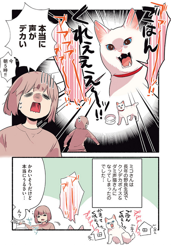 🐈元野良猫にウェットフード🐟をあげたらとんでもないことになった話😱😱😱(2/2) #漫画が読めるハッシュタグ   発売中のコミックス、 #愛されたがりの白猫ミコさん からお届けしました! 書籍限定公開のミコさんとの出会いエピソードが読めるコミックスは👇から https://amzn.to/3Gpk6yu