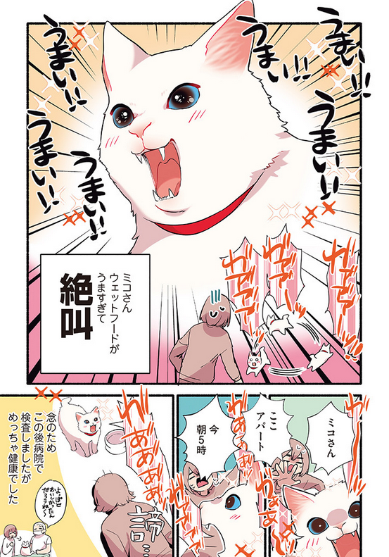 🐈元野良猫にウェットフード🐟をあげたらとんでもないことになった話😱😱😱(2/2) #漫画が読めるハッシュタグ   発売中のコミックス、 #愛されたがりの白猫ミコさん からお届けしました! 書籍限定公開のミコさんとの出会いエピソードが読めるコミックスは👇から https://amzn.to/3Gpk6yu