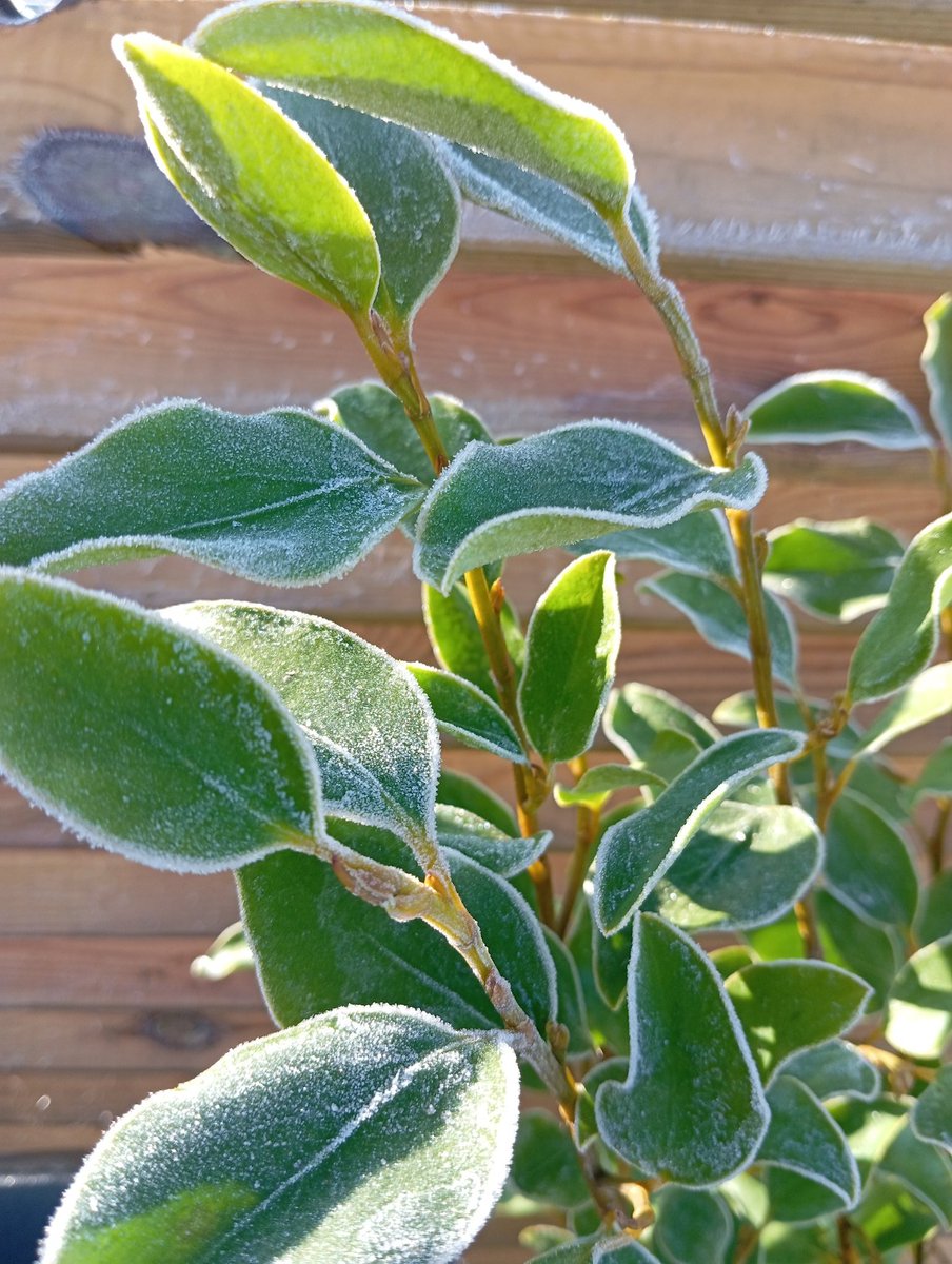 hermodes's tweet image. Salut les loulous, vu que j'ai rien à foutre ce matin, quelques photo du -5