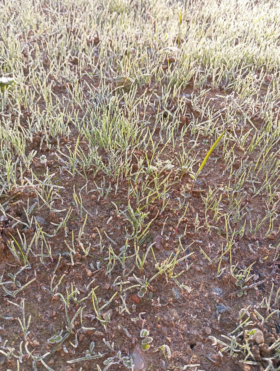 hermodes's tweet image. Salut les loulous, vu que j'ai rien à foutre ce matin, quelques photo du -5