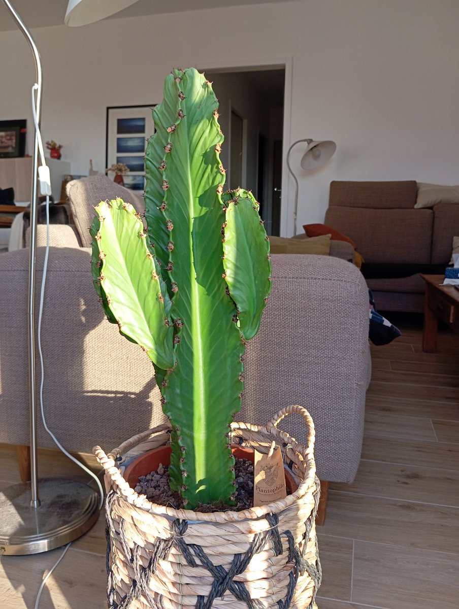 hermodes's tweet image. Salut les loulous, vu que j'ai rien à foutre ce matin, quelques photo du -5