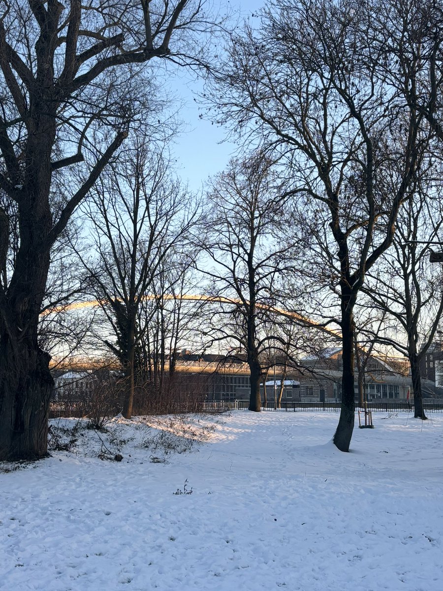 Stadspark Maastricht <a href="/magnifiekZL/">Magnifiek Zuid-Limburg</a> ☀️🥶😎