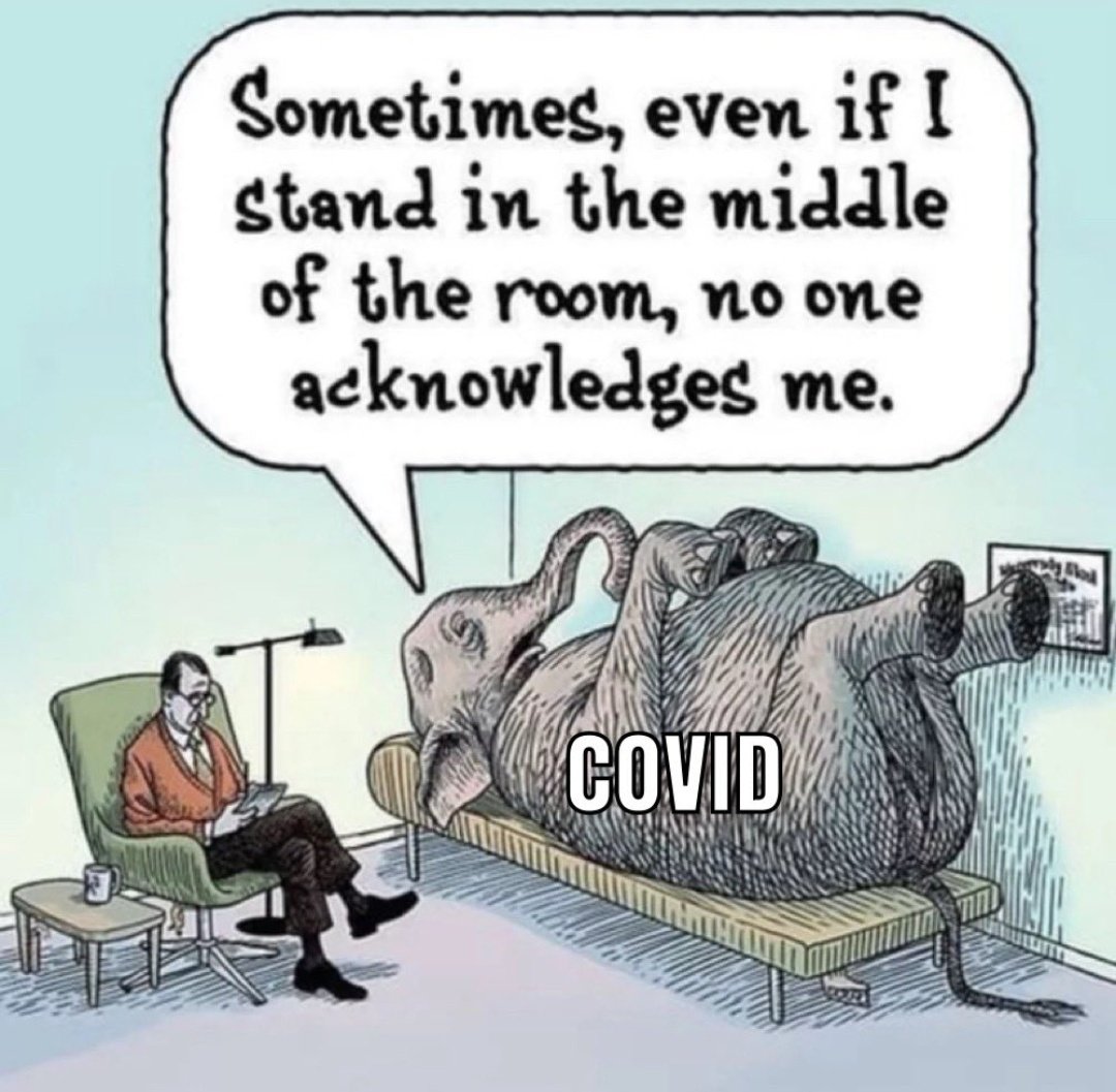 Ein Elefant liegt rücklings auf einer Couch. Er hat die Aufschrift "Covid" und spricht zu einem Psychiater, der neben ihm auf einem Sessel sitzt und Notizen macht. Über dem Elefanten steht eine Sprechblase: "Sometimes, even if I stand in the middle of the room, no one acknowledges me."