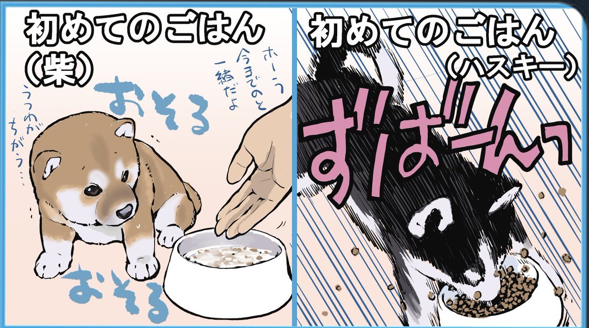 石原 雄 tweet media