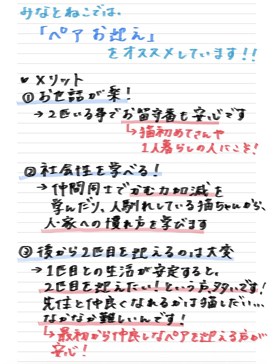 minatoneco's tweet photo. 【ペア譲渡の勧め🐾】

多頭飼いって大変そう？実は良い事沢山！
メリットデメリットを理解し、自分はどんな飼い方が合っているかチェックしてみて下さい✨
可愛いだけではなく、新しい家族を迎えるという気持ちで是非猫ちゃんに会いに来て下さいね😻

詳しくはコチラの動画🐈
https://t.co/v5jauzWjaQ https://t.co/CZkAlR3L7W