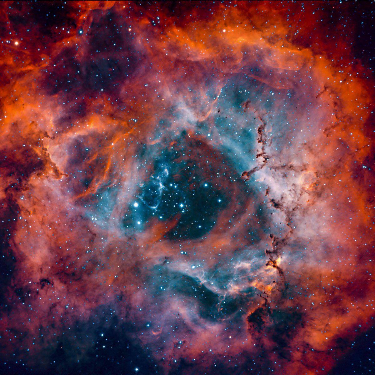 A bi color Rosette Nebula spending 20 hrs grabbing those faint photons , and mixing with S Green A truly magnificent part of the sky ✨️