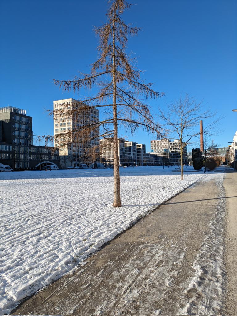 andkamau's tweet photo. ❄️ ☀️ https://t.co/ezqMTUVI40