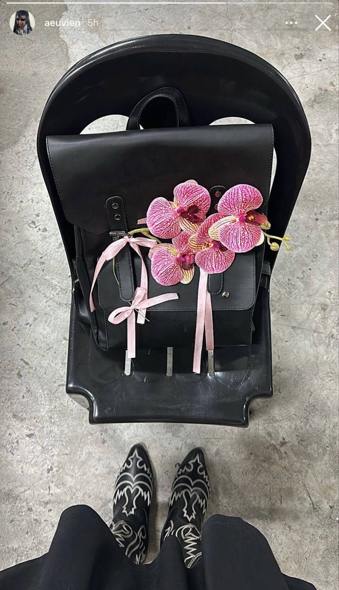 venusianruby's tweet photo. via aeuvien on ig 🌸 https://t.co/20nsgnwriB