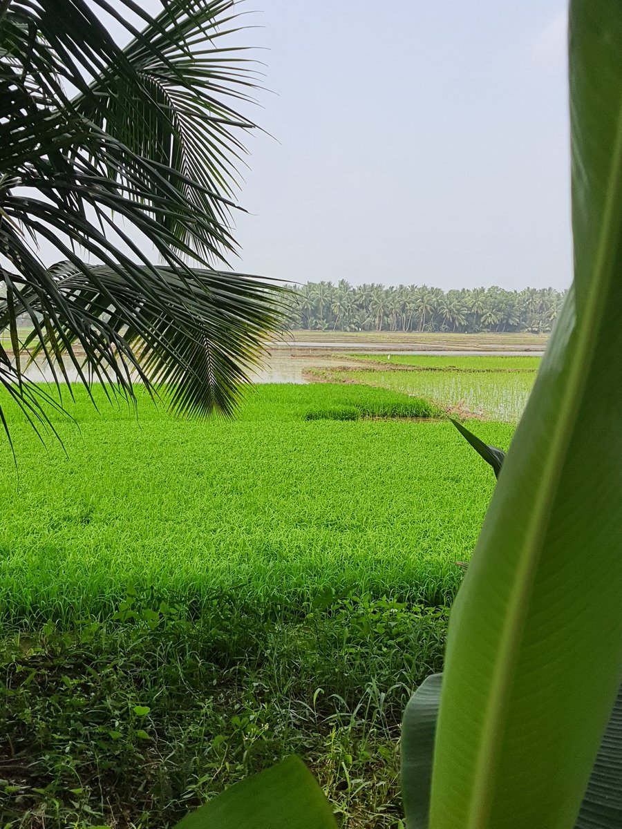 Nagendra Kasi (@kasi_nagendra) on Twitter photo 