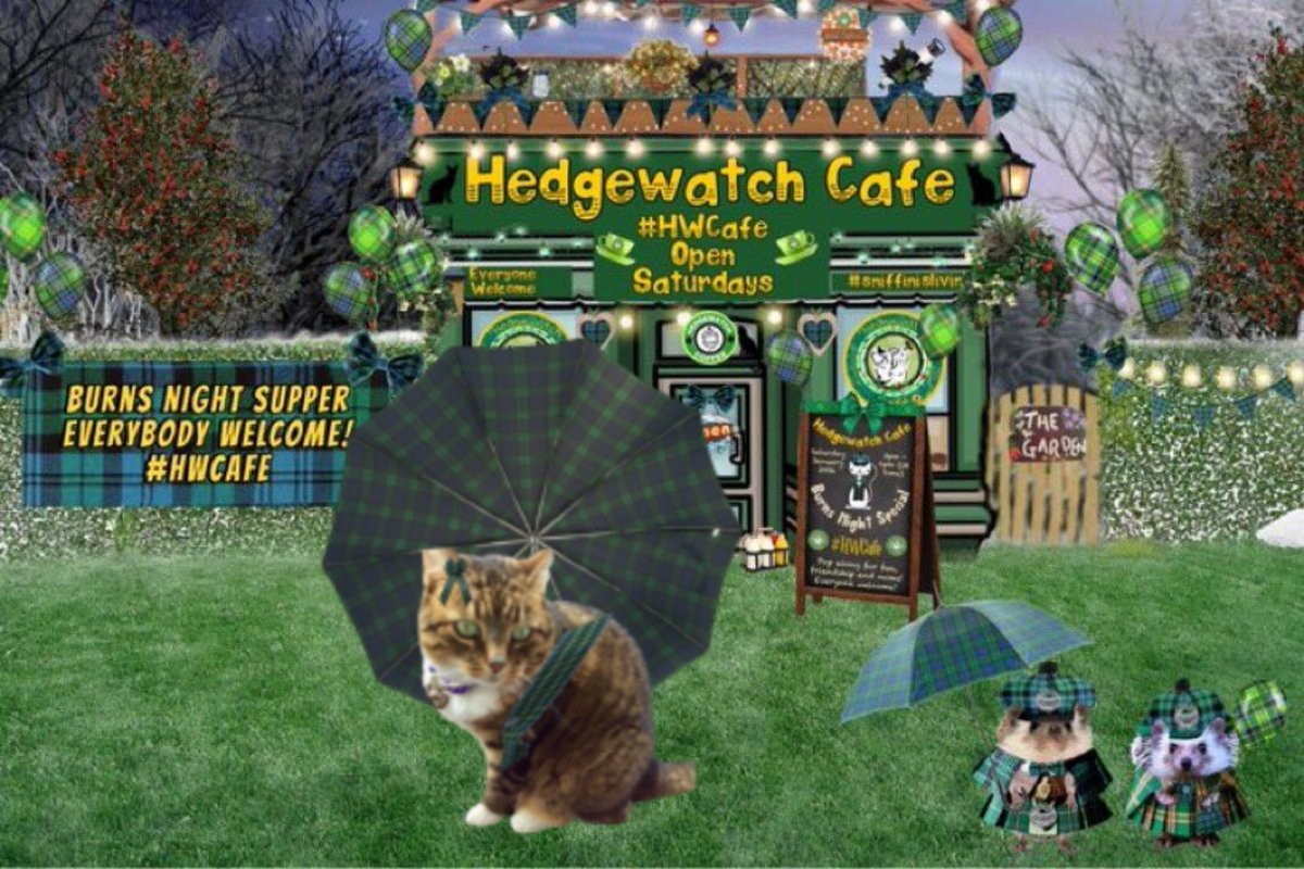 Meow meow I'm here! A bit late as this umbrella was upside down in the wind! #HWCafe