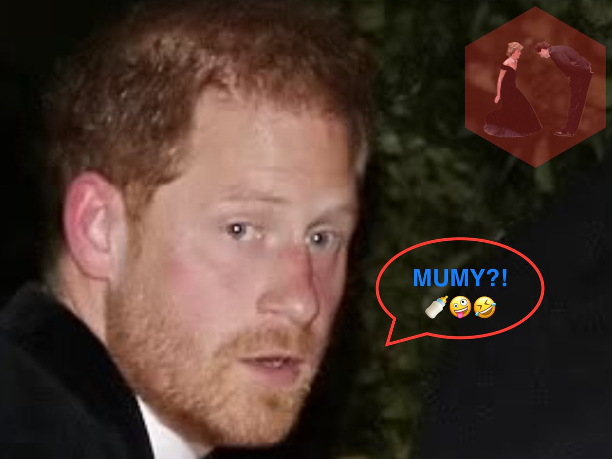 VaissanS's tweet photo. My reaction to the speech 🤣🤣🤣🤣 #Dumbprinceharry #BunkerHarry #HarryAndMeghanAreDelusional #HarryAndMeghanareOVER #PrinceHarryIsALoser #PrinceHarryIsATraitor #HarryIsExposed #FlopGunHarry https://t.co/FHzGbGYD5o