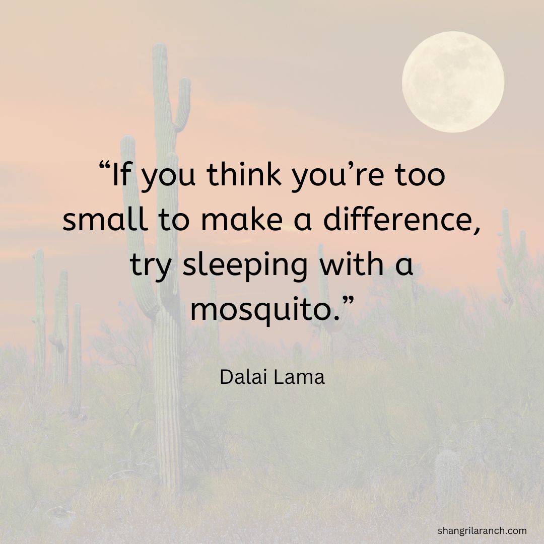 SLRNude's tweet photo. Small changes can make a big impact! Think you're too small to make a difference? The mosquito knows differently. #ThinkBig #HaveImpact #ChangeTheWorld โญ๏ธ https://t.co/jDtUoMBwUV https://t.co/iutnTn21vL