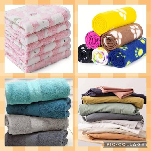 DelavegaPepita's tweet photo. AIDE AUX ASSOS : appel à dons de couvertures pour le refuge de PIERRELATTE
Le Refuge de l Espoir a besoin de votre générosité
Vous pouvez nous les déposer du lundi au dimanche de 9h à 17h
Merci à tous❤️
D459, Pierrelatte, 26700
#drome #dpt26 #pierrelatte https://t.co/6NdGLsI0bb
