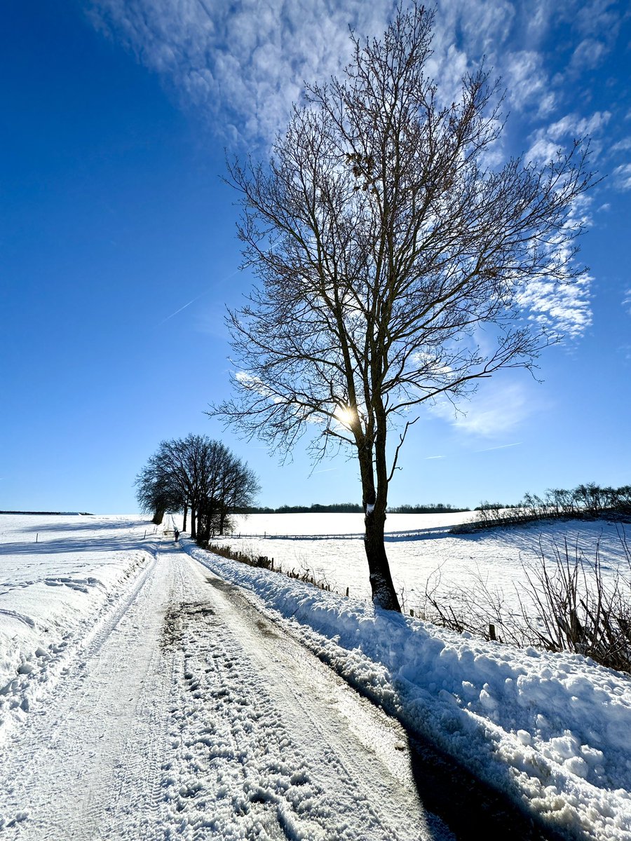 Kaiserwetter in @magnifiekZL langs Eyserheide