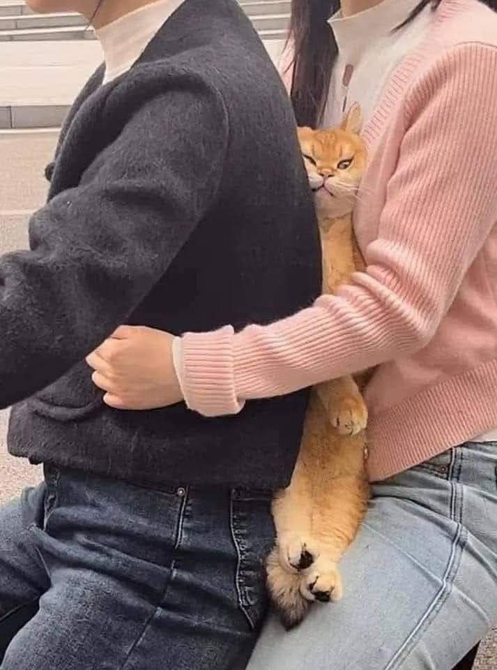 bulut (@trozy0) on Twitter photo 