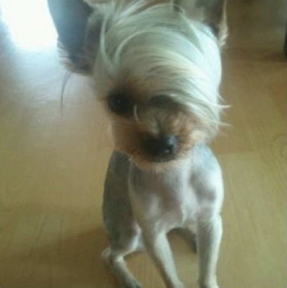 아. 공연보고싶어.