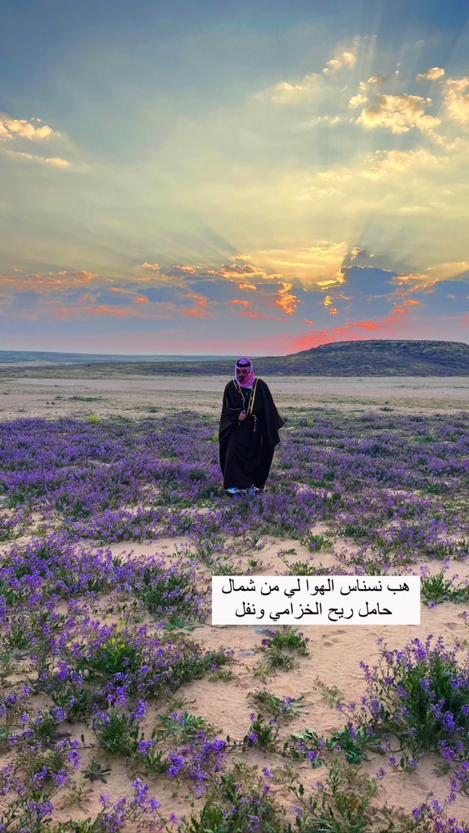 #الخزامى