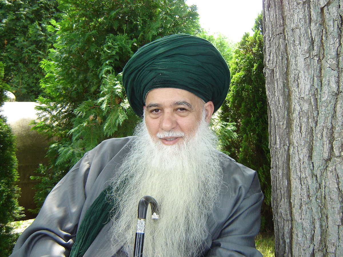 Kıbrısi'nin talebelerinden Shaykh Hisham Kabbani Kudüs merkezli 'The Elijah Interfaith Institute' üyesi. Enstitünün kurucusu, Rabbi Alon Goshen-Gottstein.