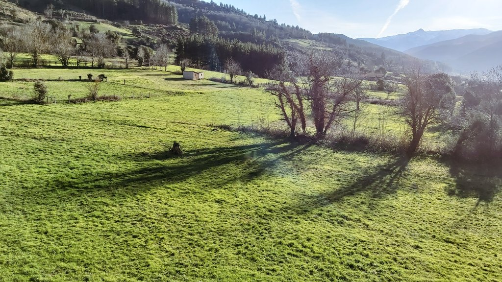 Apez140's tweet image. El Sol ya se acerca al Horizonte Mundo.
Las Sombras poco  a poco se van alargando...🧚‍♂️😎