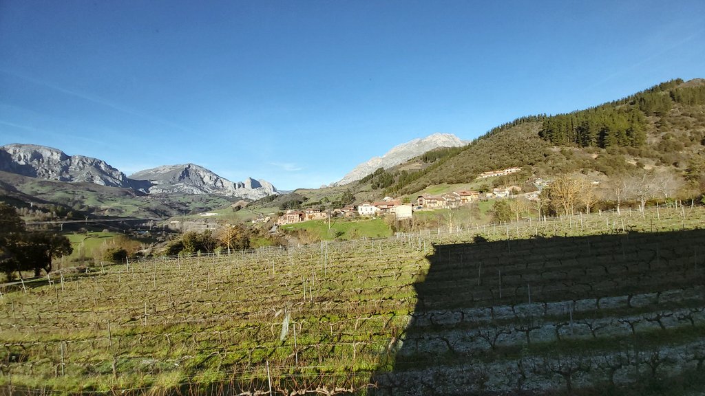 El Sol ya se acerca al Horizonte Mundo.
Las Sombras poco  a poco se van alargando...🧚‍♂️😎