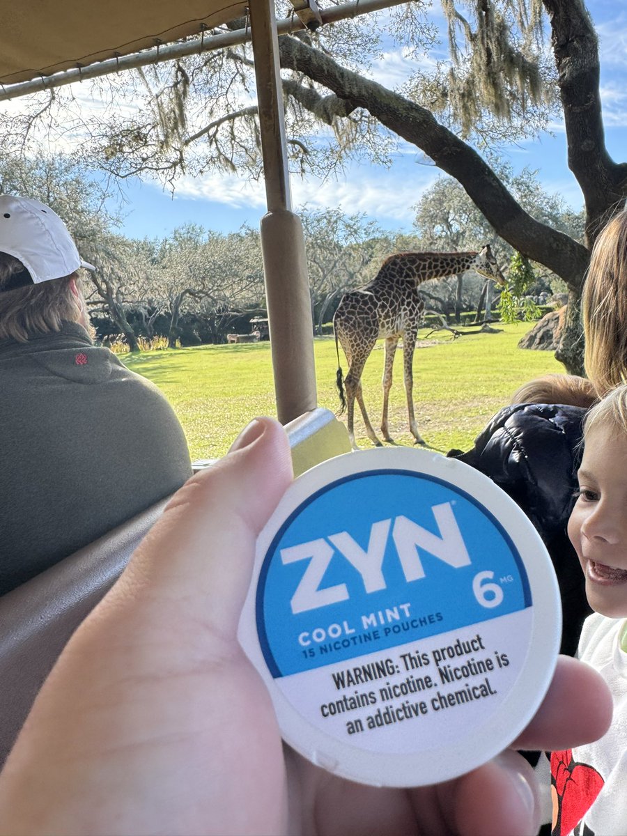 patagucci perf papi tweet media