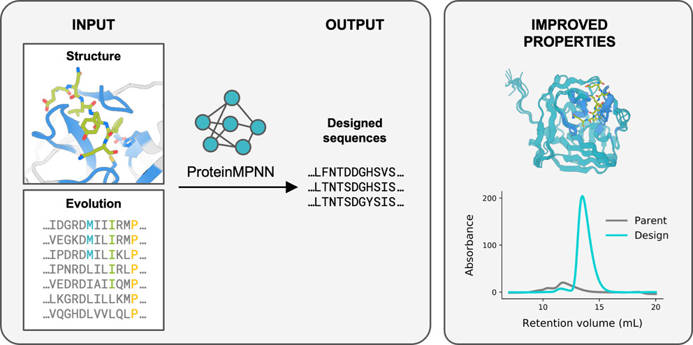 📈 Read one of our recent most read #OpenAccess articles, 'Improving Protein Expression, Stability, and Function with ProteinMPNN' @BilbaoChem @UWproteindesign @CICbioGUNE @brta_eus @Ikerbasque Read the article here ➡️ go.acs.org/7Kk