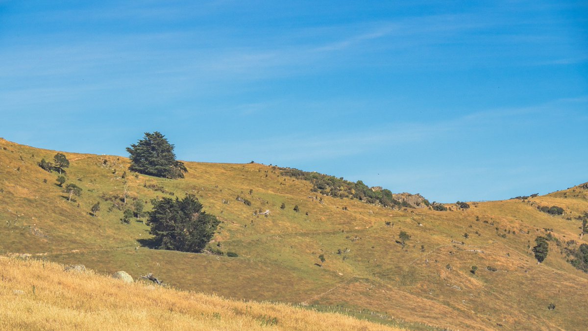 Available on my Darkroom;
patrickrose.darkroom.com/collections/pu…

#landscape #landscapephotography #travel #travelphotography #newzealand #photography #newzealandphotography #mountains #hills #summer