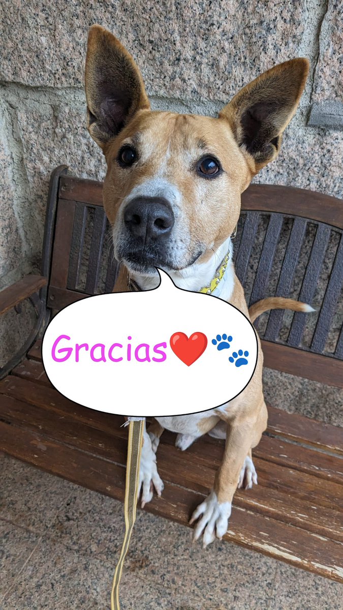 planetazarpa's tweet photo. Feliz sábado familia.
Una vez más nos dejáis sin palabras🥹
Gracias a @AlvaroOzores y @MVICTORIAESPADA acabamos factura!🎉
Y Nos queda hucha para el mes que viene gracias a @AbuelaCule , #AnaIsabelDC y a #MariaJG . https://t.co/h0UCUX4pHn