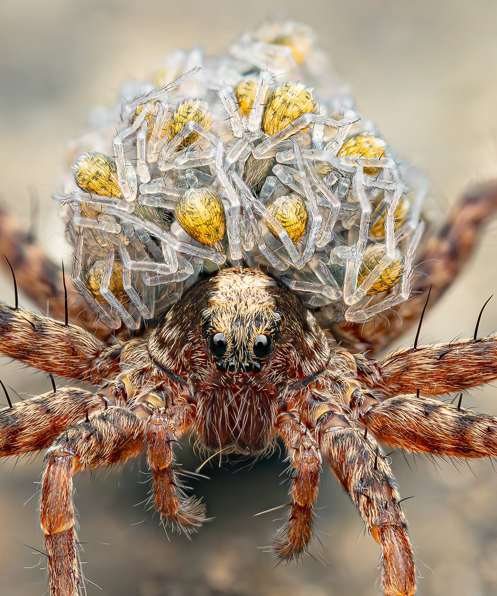 Parenting can be tough...