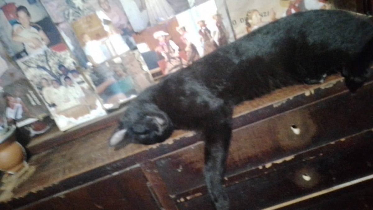 cuando mi hija duerme donde quiere jaja😂❤️