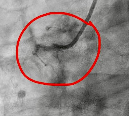 Alex Truesdell tweet media