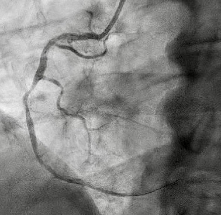 Alex Truesdell tweet media