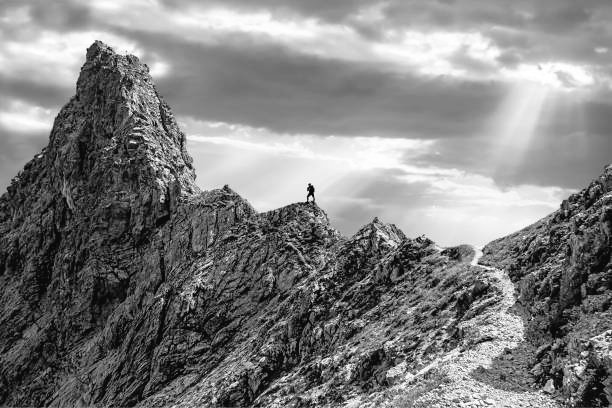 mcanosan's tweet image. "I sense the existence of a far peak without quite knowing how to navigate a path to get there."  @MarcusduSautoy #ThinkingBetter