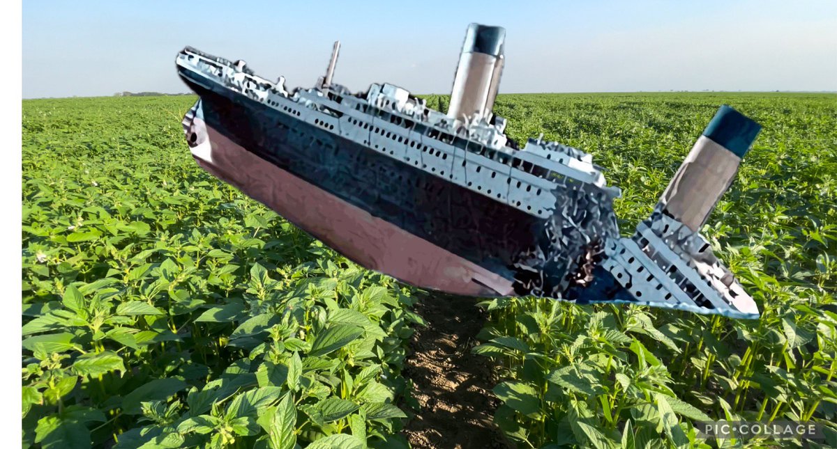El Titanic:

La agricultura es el Titanic. Los agricultores estamos en el, los de 3era clase ya estan ahogados. Los de 2da estamos luchando por sobrevivir y los de 1era clase tardaran mas. A este ritmo, todos nos hundiremos. Unos antes que otros pero tendremos el mismo destino