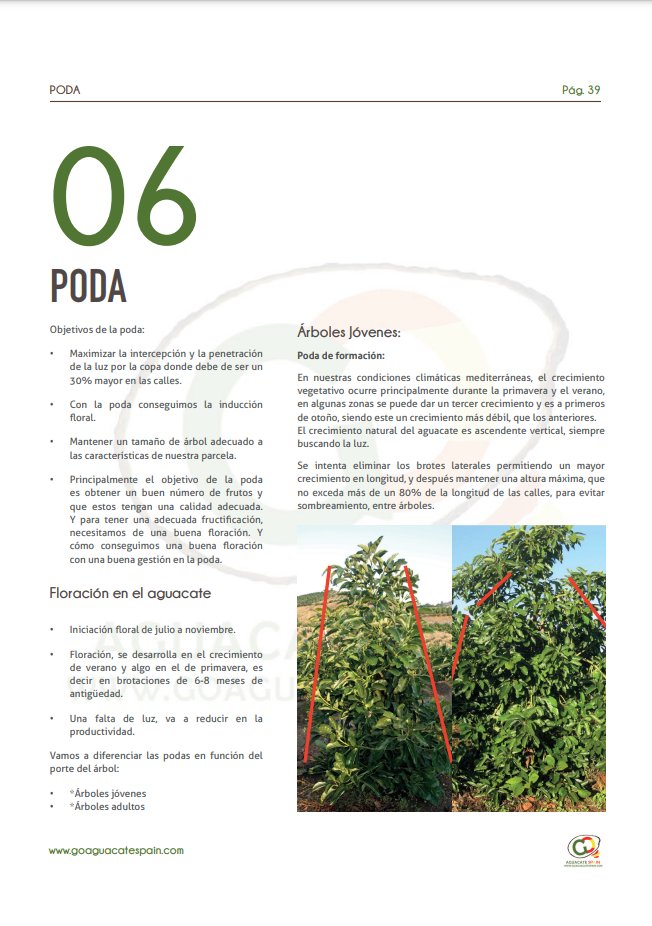 TVesTV's tweet photo. #TVes #ElTrueque
#LecturasLibres #BibliotecaSOCAN #SOCAN 
#Aguacate #Aguacate🥑 #AguacateLover
#aĞuacateTour2024
#Descarga #Gratis  :
#LibroElectronico
El Manual Practico Aguacate
72 Páginas
https://t.co/lJNkt3a9yo https://t.co/ErKhTrFY4u