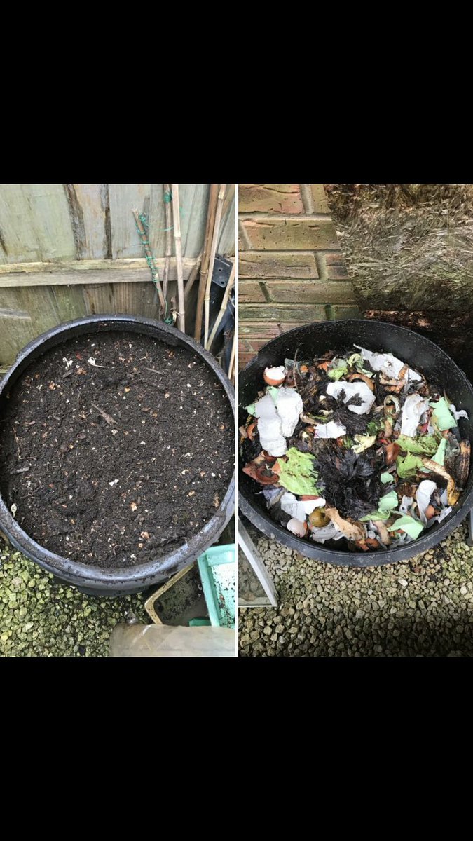 Andy6hutch's tweet photo. HOME MADE COMPOST APPRECIATION POST 😊…. Always amazes me how you can turn garden & kitchen waste into the most wonderful soil conditioner… I absolutely ❤️ making it… It’s the beating heart of any garden…. HAPPY DAYS!!! #HomeMadeCompost #GardeningX #SoilConditioner #Mulch https://t.co/j7mfdeVjF5