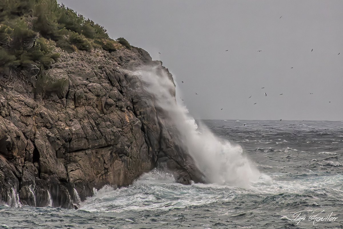 Inmediacions del Far de Cap Gros (Sóller), al temporal que afecta aquests dies Mallorca
@UHmallorca @ElTiempo_tve  @TempsIB3 @MeteoIB3 @tiempobrasero @MeteoredES @Meteoralia @Meteodemallorca #DespertarPlanetario #ThePhotoHour #HacerFotos @El_Universo_Hoy @BalearsFCiencia