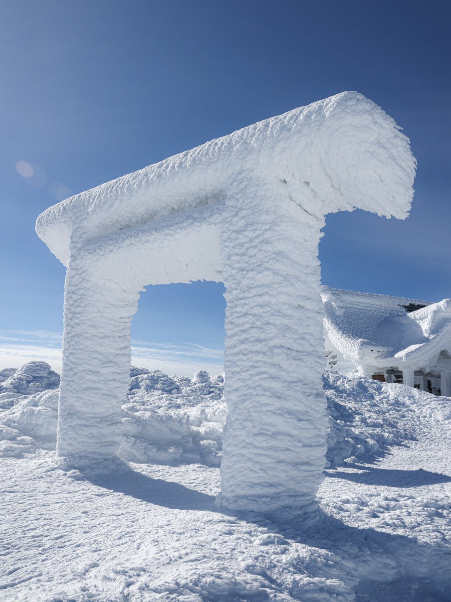 もんんも tweet media