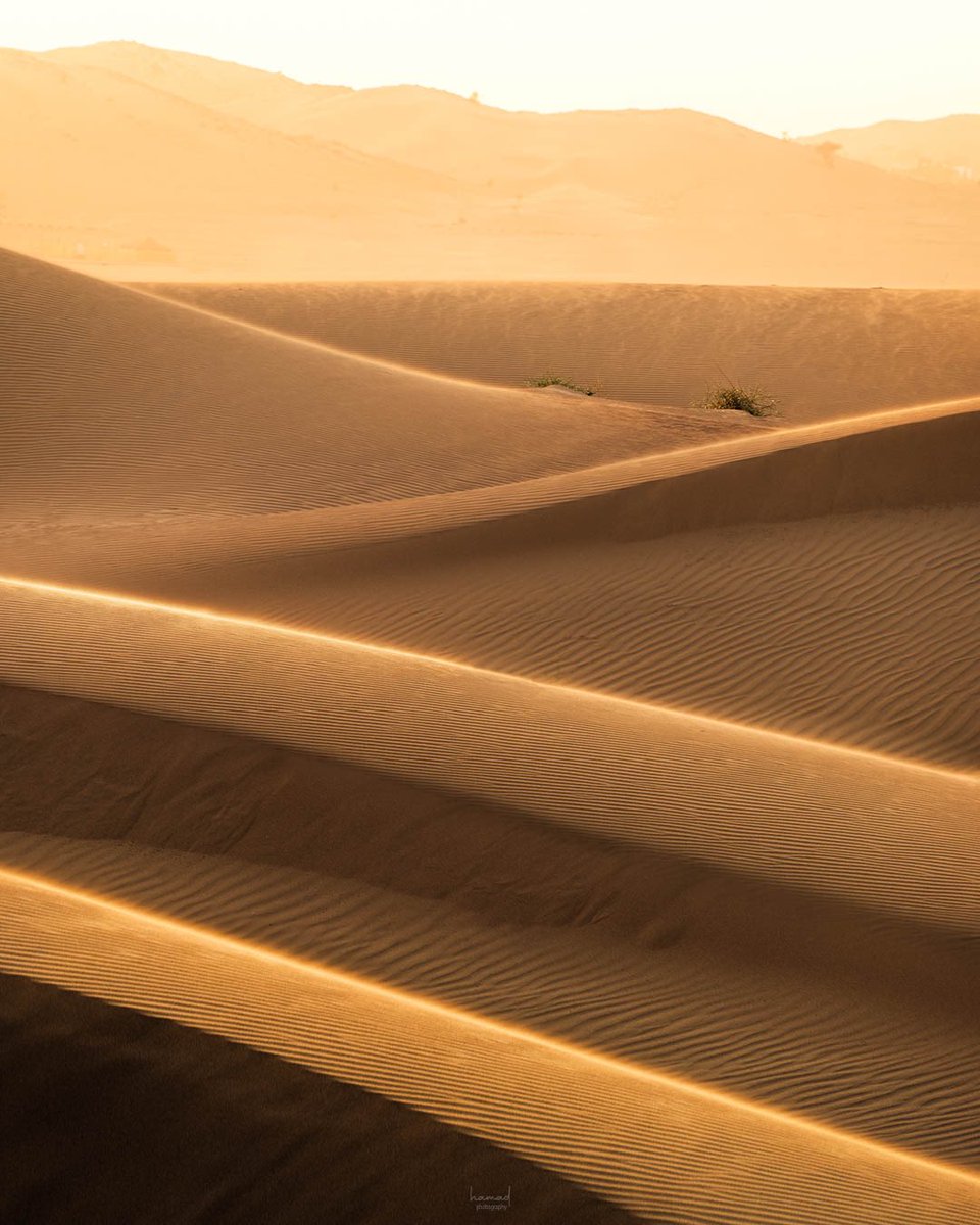 من رمال بدر .

#بدر #ينبع #السعودية #landscapephotography #desert #sandunes