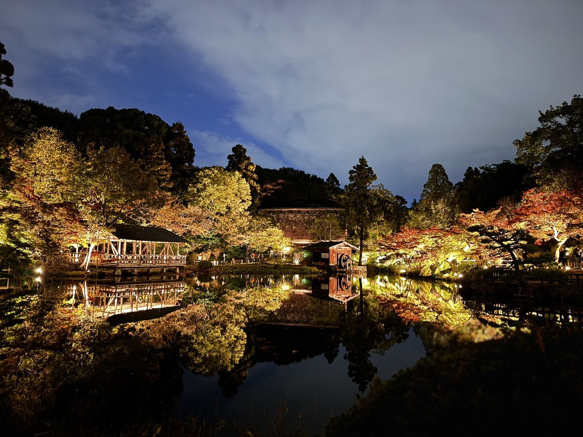 K46861595's tweet photo. 東山動植物園の紅葉🍁見に行ってきた✨️
星ヶ丘テラスも綺麗だった💛 https://t.co/KYul60xIHn