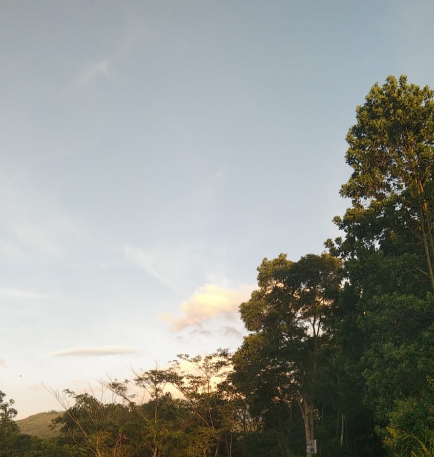 Chaca88669082's tweet photo. @BaseBDG Sore nembe :) https://t.co/bRBbHrLOvk