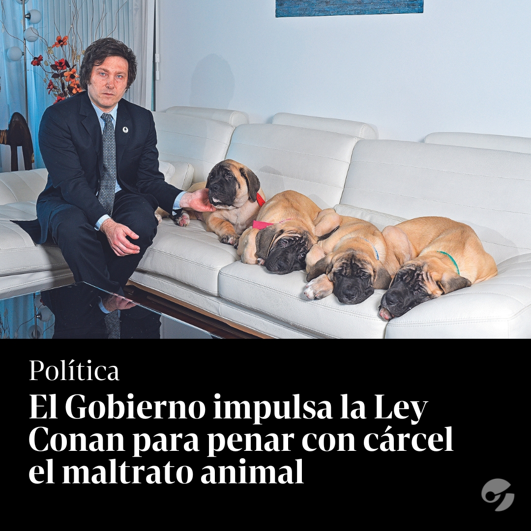 Clarín tweet media